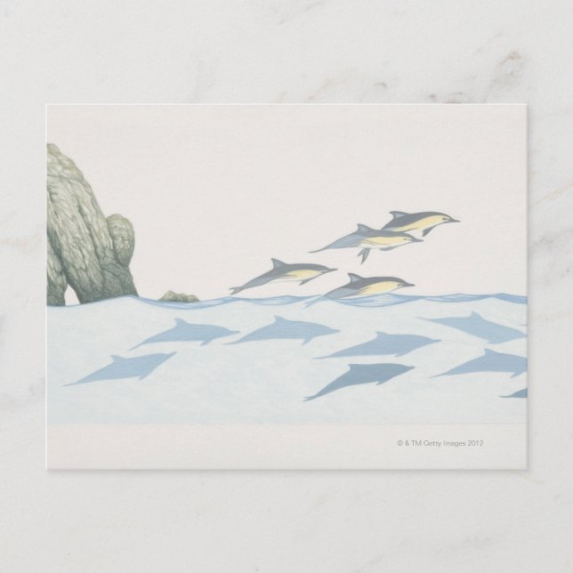 Cartão Postal Golfinhos comuns (Frente)