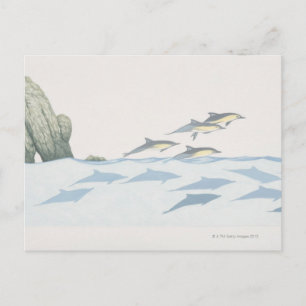 Cartão Postal Golfinhos comuns