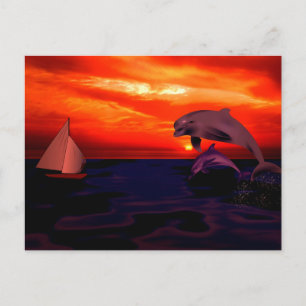 Cartão Postal Golfinhos no Sunset