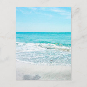 Cartão Postal Golfo de Prateleiras Tropicais de Areia Oceânica 