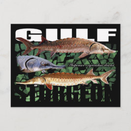 Cartão Postal Golfo Sturgeon-Collage-Postcard