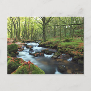 Cartão Postal Golitha Falls