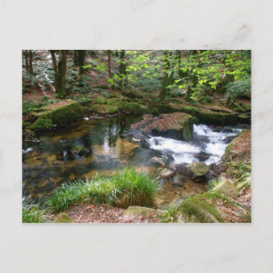 Cartão Postal Golitha Falls River Fowey Cornwall Inglaterra