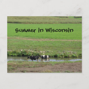 Cartão Postal Gone Swimmin