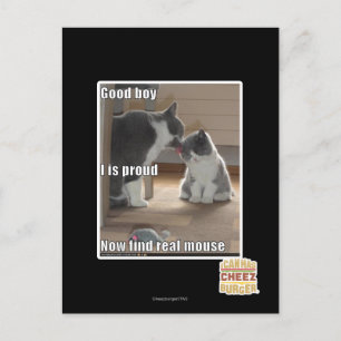 Cartão Postal Good boy