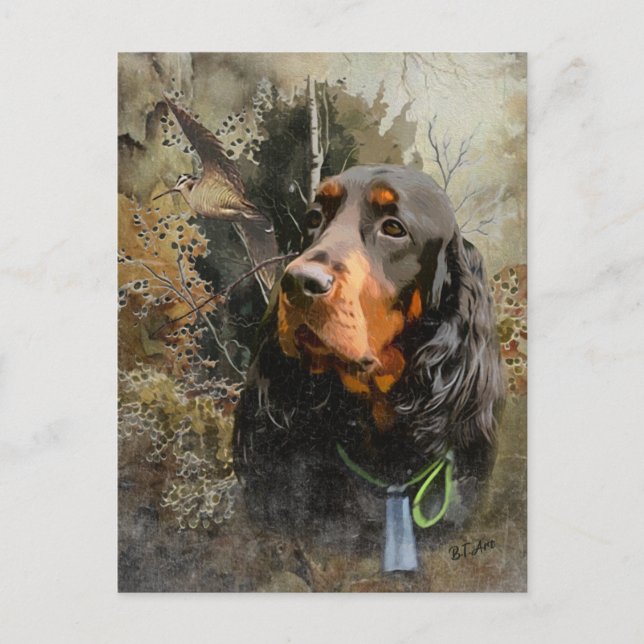 Cartão Postal Gordon Setter (Frente)