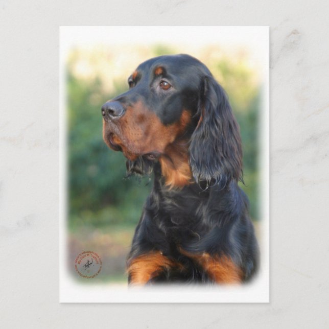 Cartão Postal Gordon Setter 9Y109D-021 (Frente)