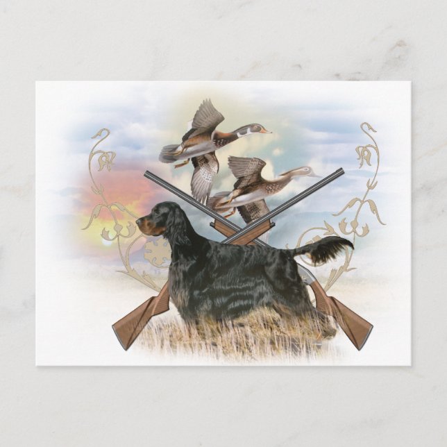 Cartão Postal Gordon Setter Hunts (Frente)