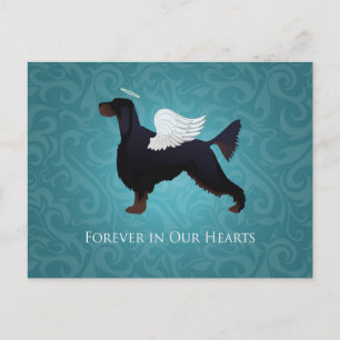 Cartão Postal Gordon Setter Pet Memorial Dog Angel