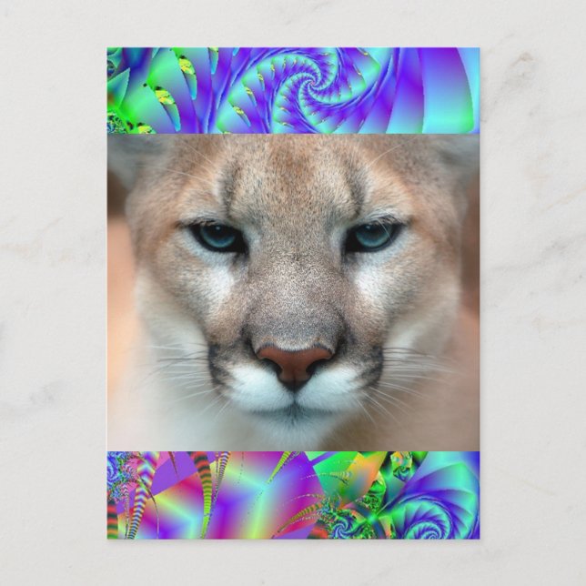 CARTÃO POSTAL GORGEOSO COUGAR (Frente)