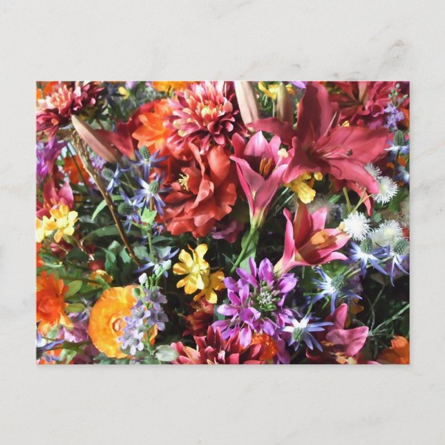 Cartão Postal gorgeous, flamboyant flowers. (Frente)