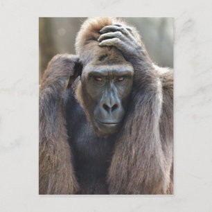 Cartão Postal Gorilla Pose