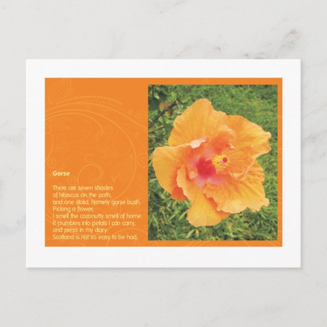 Cartão Postal Gorse (Frente)