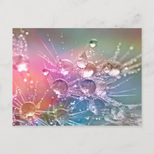 Cartão Postal Gotas de Água