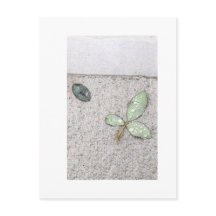 Gotas de água na fotografia das folhas