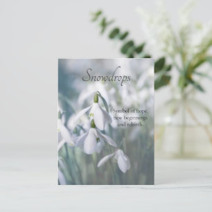 Cartão Postal Gotas de neve