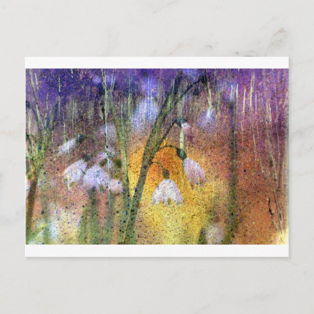 Cartão Postal Gotas de neve (Frente)