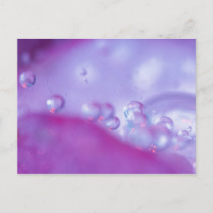 Cartão Postal Gotas de orvalho em pétala de flor abstrata. Crédi