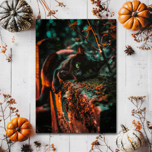 Cartão Postal Gótico preto oculto no cemitério