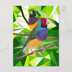 Cartão Postal Gouldian Finch Duo