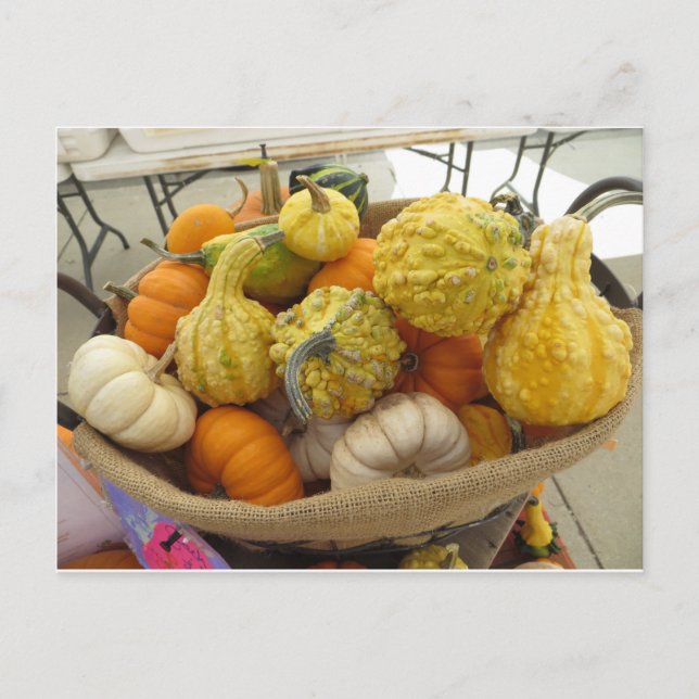 Cartão Postal Gourd Basket (Frente)