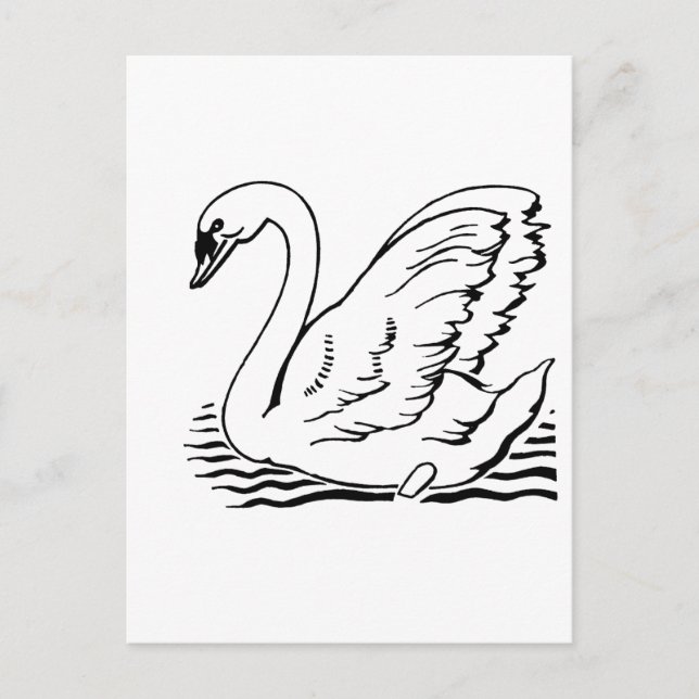 Cartão Postal Graceful Swan (Frente)