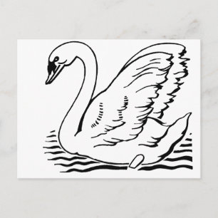 Cartão Postal Graceful Swan