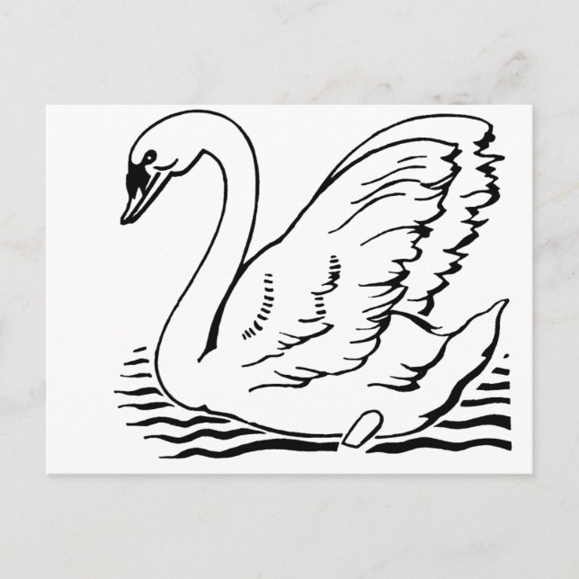 Cartão Postal Graceful Swan (Frente)
