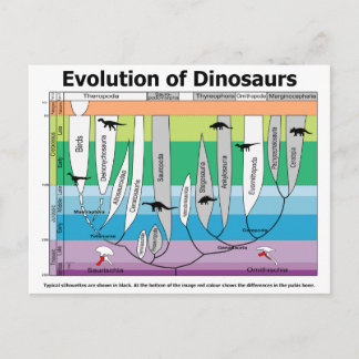 Cartão Postal Gráfico da Evolução dos Dinossauros