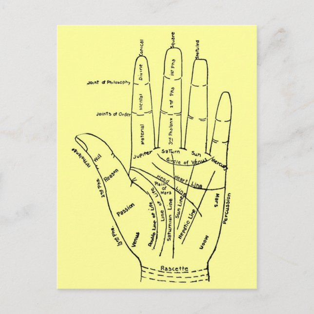 Cartão Postal Gráfico da Mão (Frente)