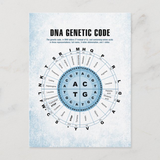 Cartão Postal Gráfico de Código Genético de DNA (Frente)