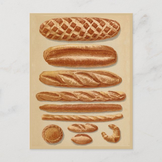 Cartão Postal gráfico de ilustrações de safra do French Breads (Frente)