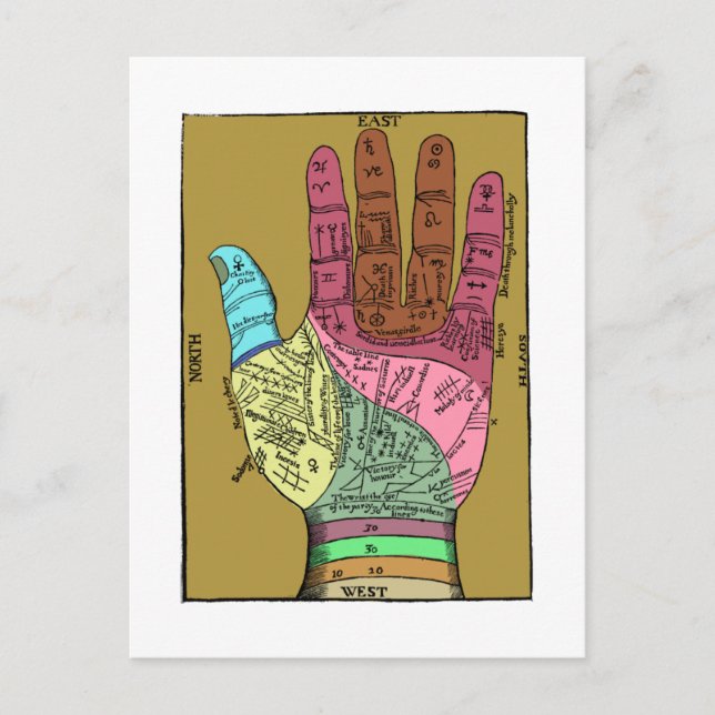 Cartão Postal Gráfico de Leitura de Palmas Antigo (Frente)