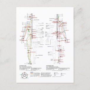 Cartão Postal Gráfico de Meridianos Humanos