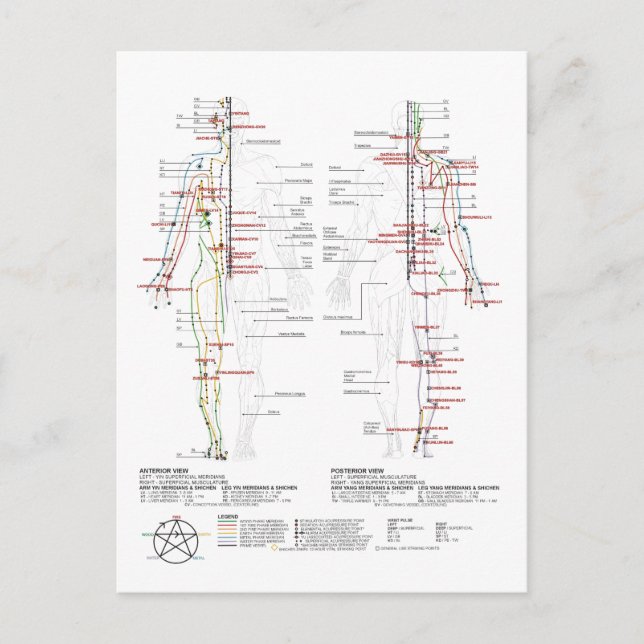 Cartão Postal Gráfico de Meridianos Humanos (Frente)