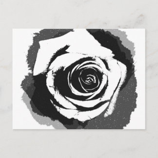 Cartão Postal Gráfico de rosa preto e branco