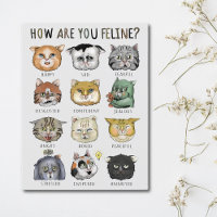 Gráfico de Sentimentos de Gatos Divertidos Como Vo