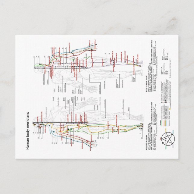 Cartão Postal Gráfico esquemático Corpo Humano Chinês Meridians (Frente)
