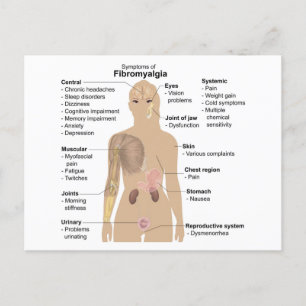 Cartão Postal Gráfico Sinais e Sintomas Comuns de Fibromialgia
