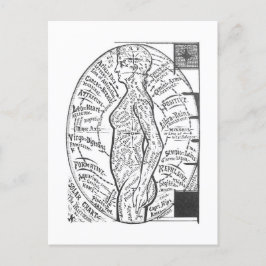 Cartão Postal "Gráfico Solar: O Microcosmo" Astrologia Zodiaca