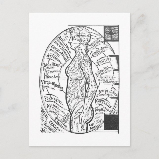 Cartão Postal "Gráfico Solar: O Microcosmo" Astrologia Zodiaca (Frente)