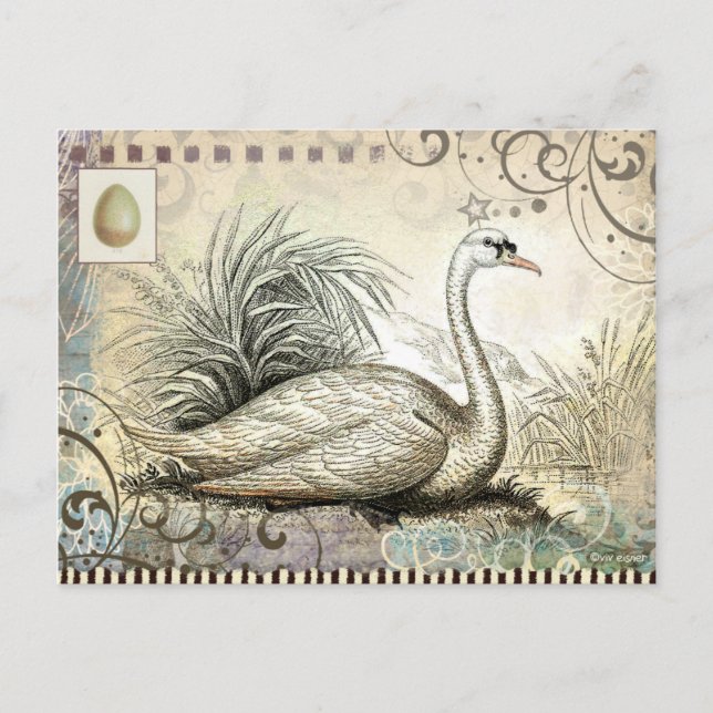 Cartão Postal Gráfico Swan (Frente)