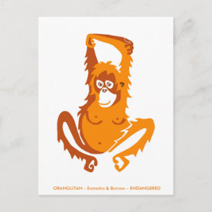 Cartão Postal Gráficos originais - ORANGUTANO - Espécies ameaçad