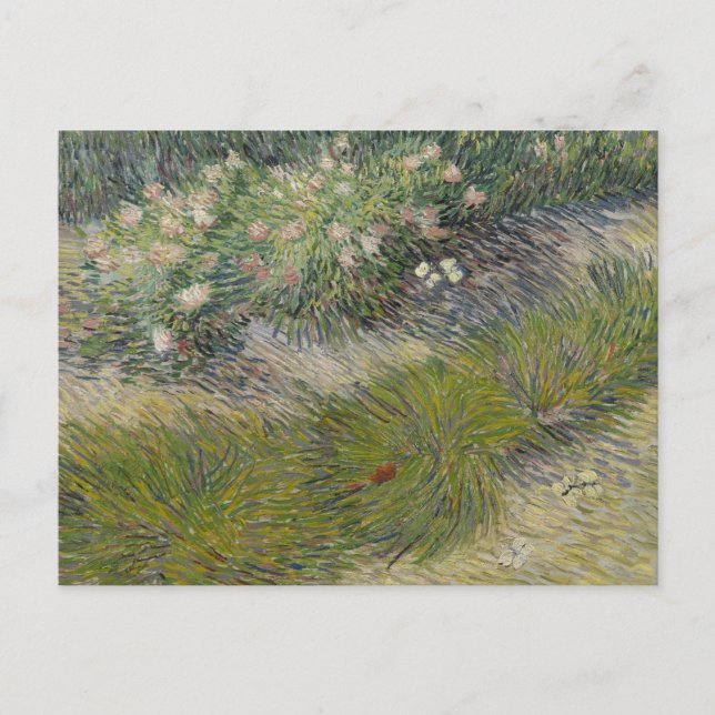 Cartão Postal Grama e Borboletas por Vincent van Gogh (Frente)