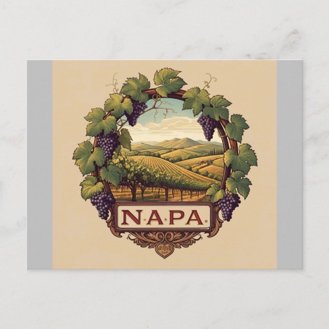 Cartão Postal Grama Vineyard Napa Valley Souvenir (Frente)