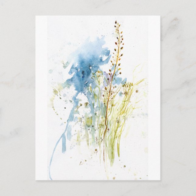 Cartão Postal gramíneas nativas (Frente)