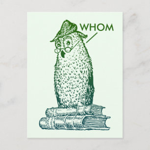 Cartão Postal Grammar Owl Diz Quem (verde)
