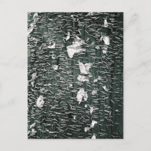 Cartão Postal Grampos