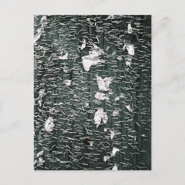 Cartão Postal Grampos (Frente)