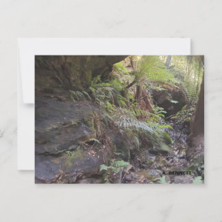 Cartão Postal Grand Canyon